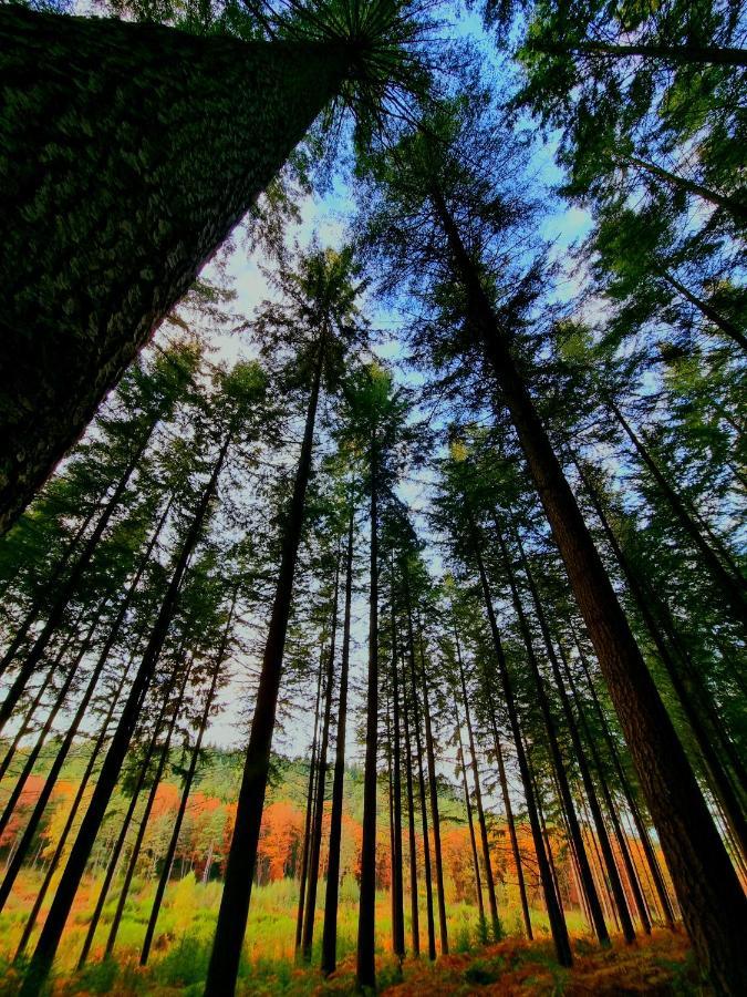La Tiny Proche Lac Et Foret Sille-le-Guillaume Bagian luar foto